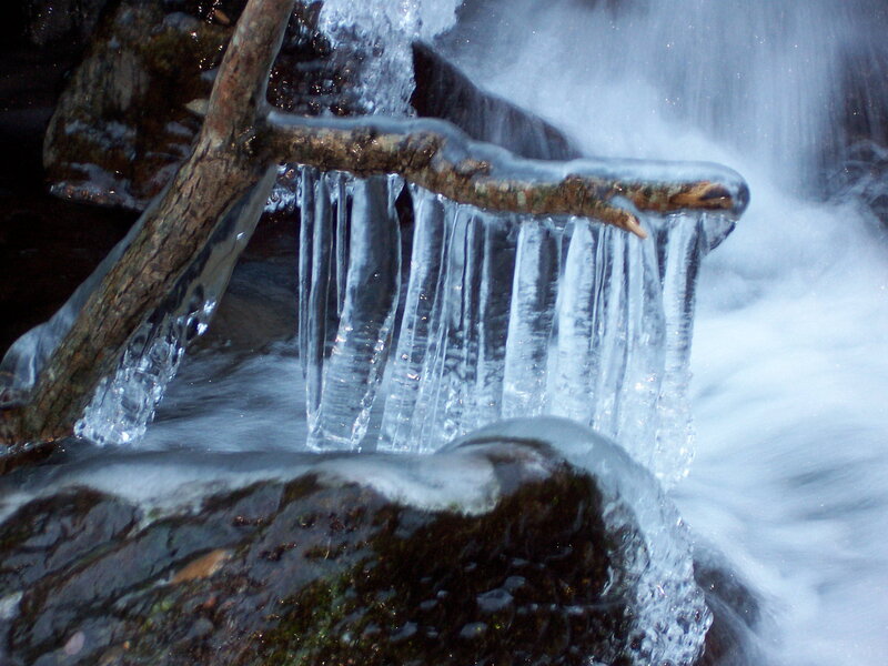 Icicles on a branch over water
