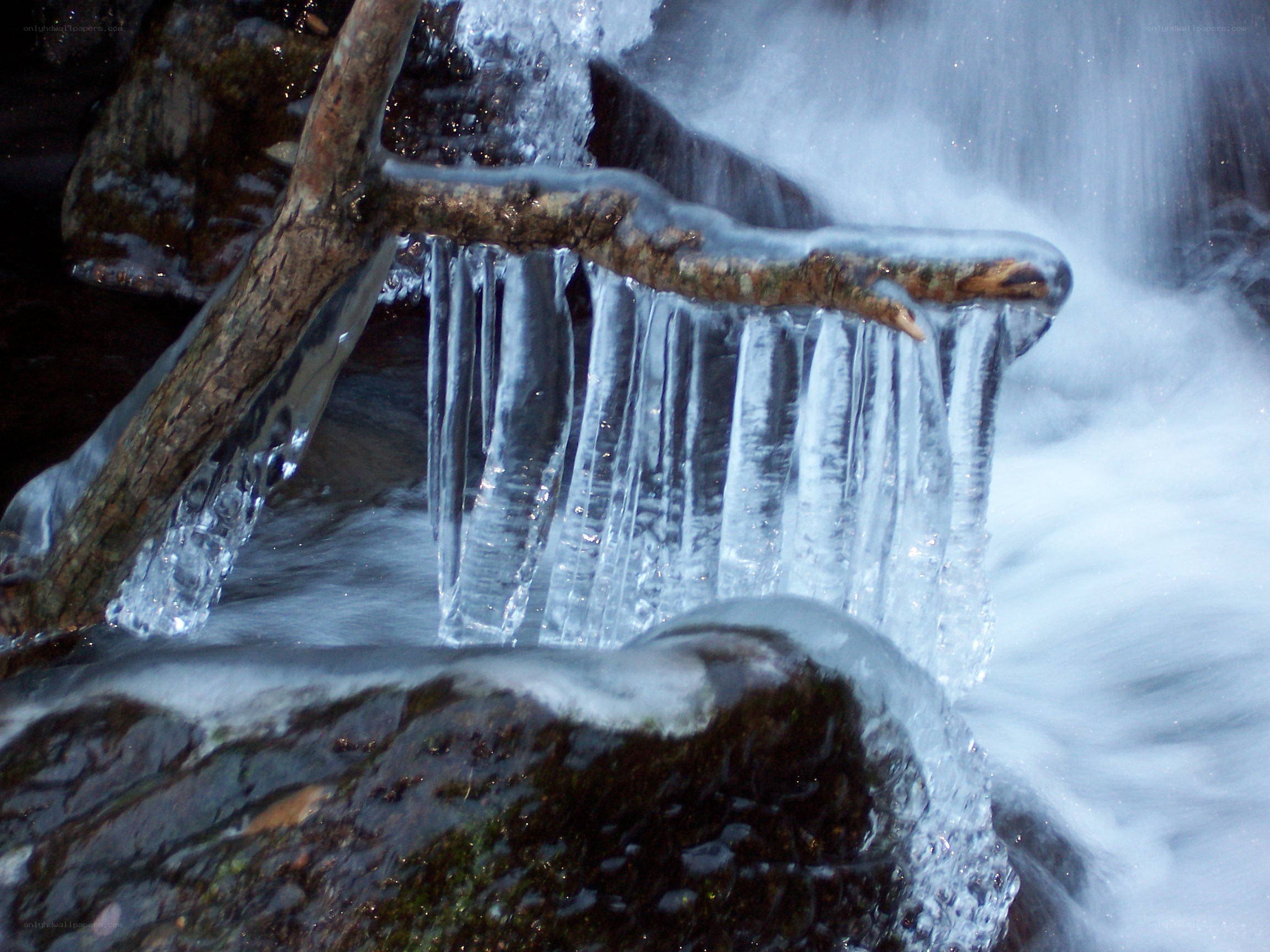 Icicles on a branch over water