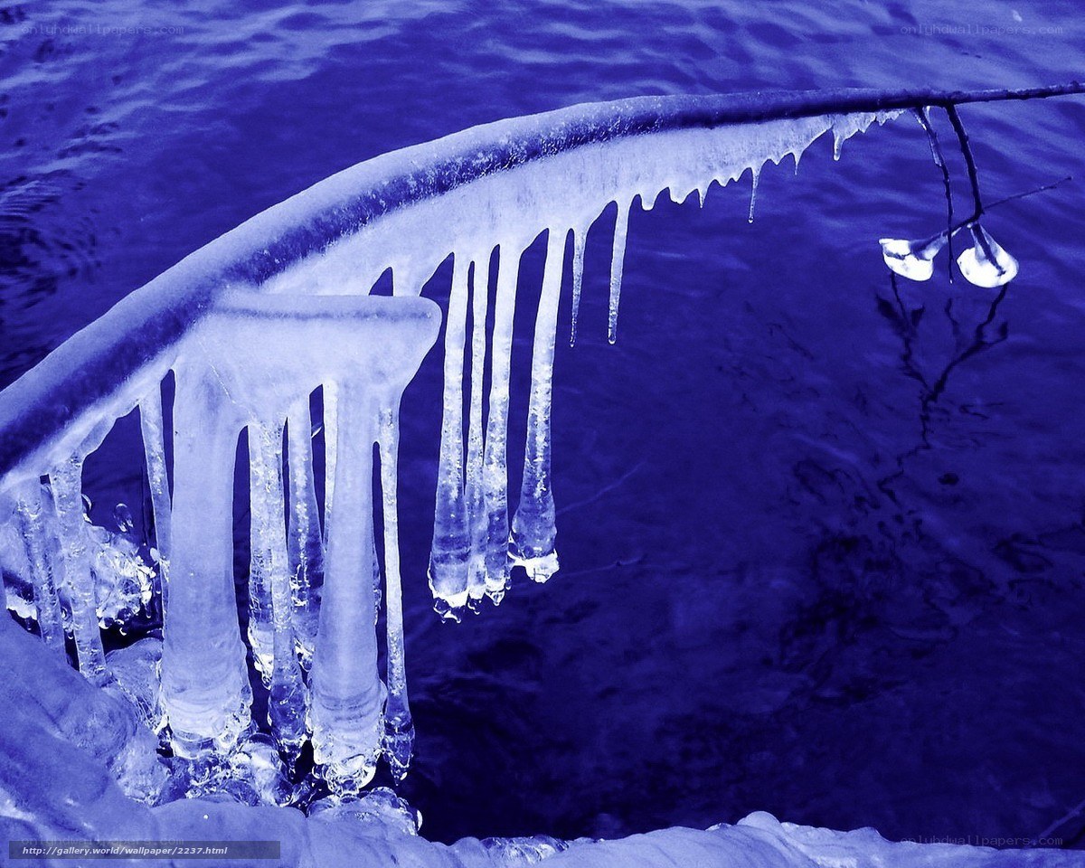 Icicles on a branch