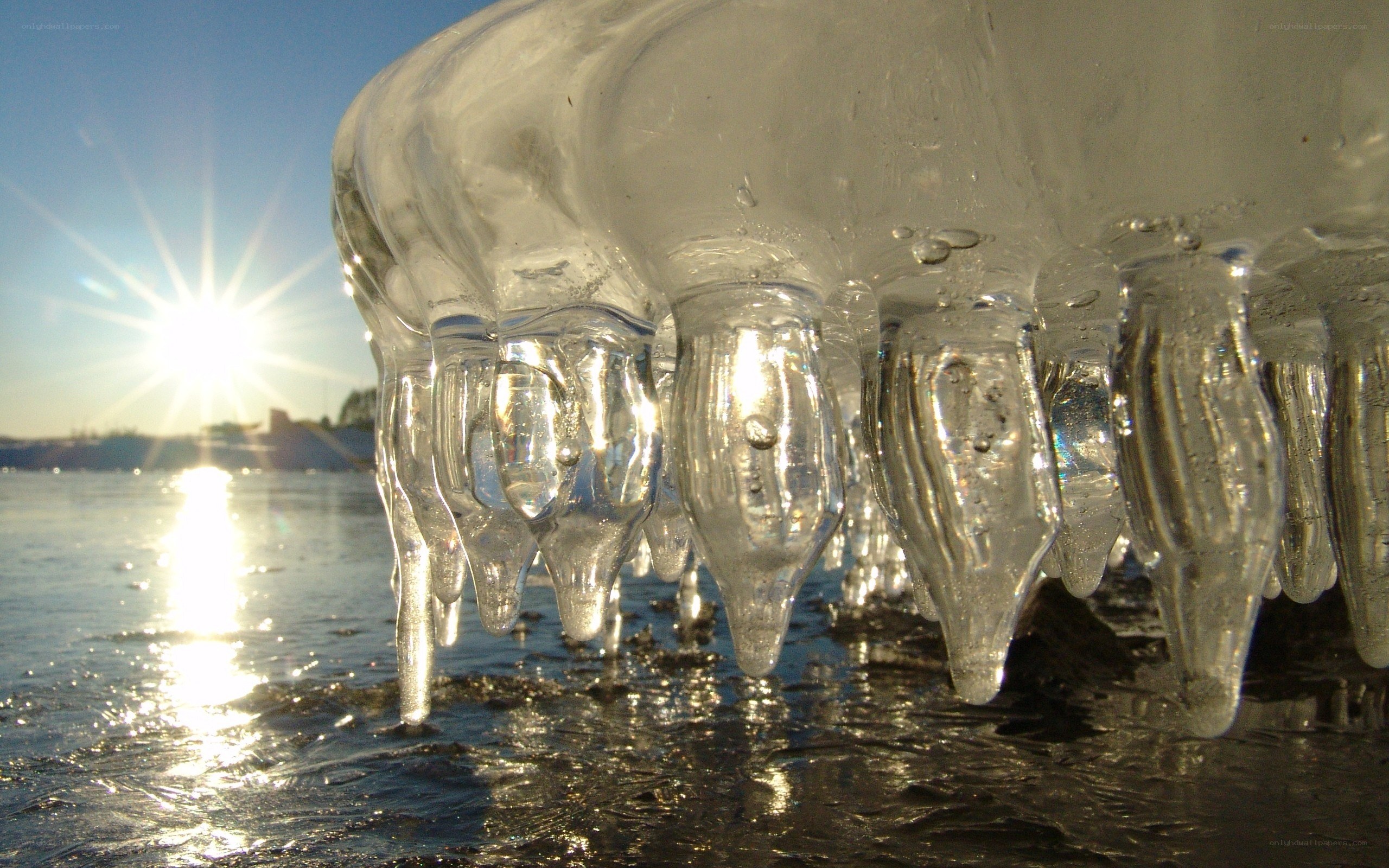 Icicles on a frozen lake