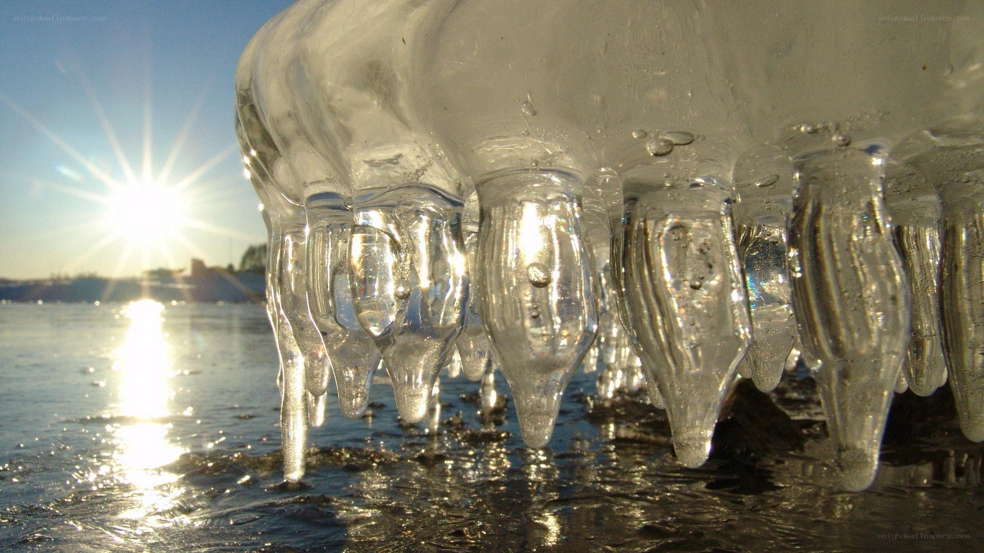 icicles on a frozen lake