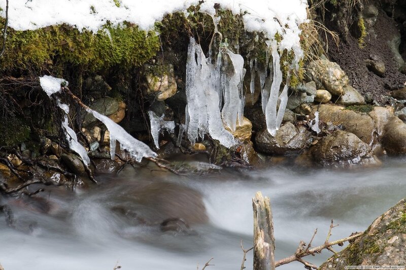 Icicles on a Stream Bank