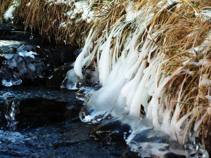 Icicles on Grass