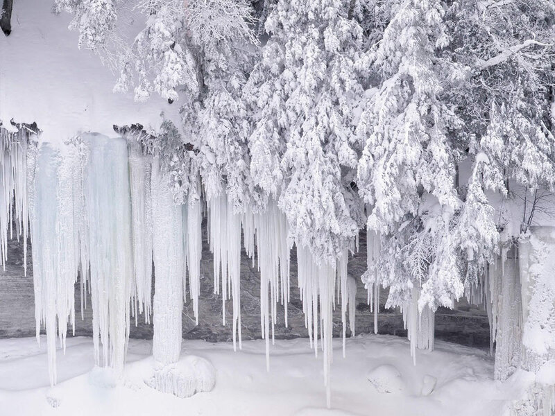 Icicles on Snow-covered Trees — Ice