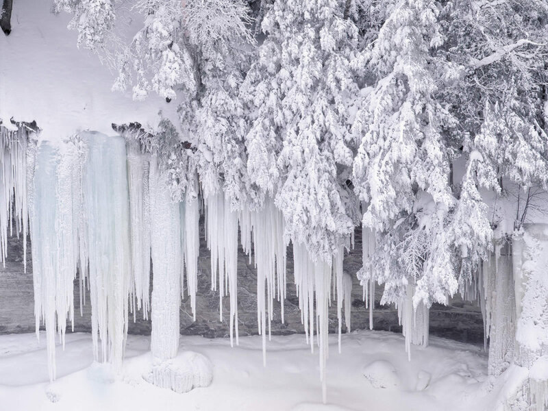 Icicles on Snow-covered Trees — Snow
