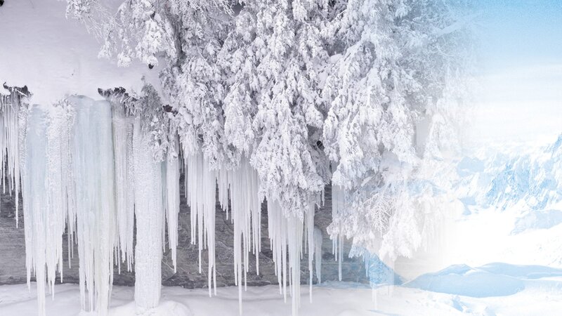 Icicles on Snow-covered Trees