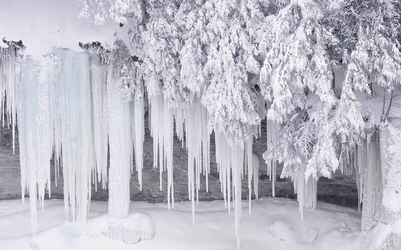 Icicles on Snow-covered Trees — White, Cold, Winter, Photograph, Snow