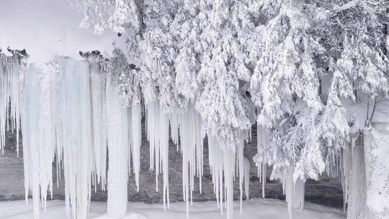 Icicles on Snow-covered Trees — White