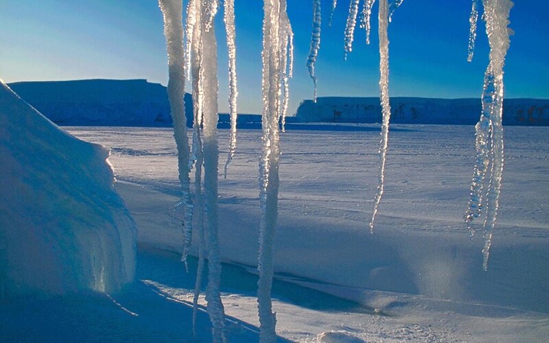 Icicles on Snow