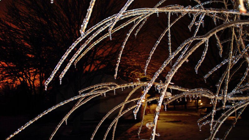 Icicles on Tree Branches — Black