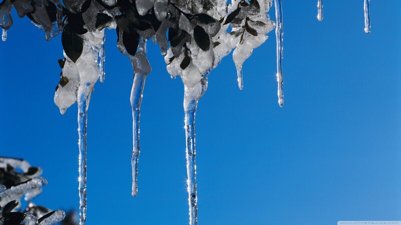 Icicles on Tree Branches — Blue, Cold