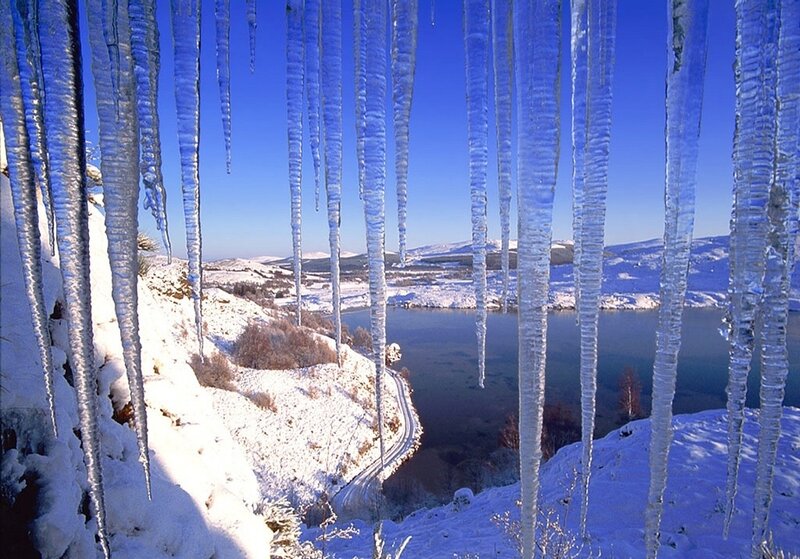 Icicles over Snowy Landscape