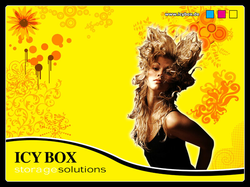 ICY BOX storage solutions ad