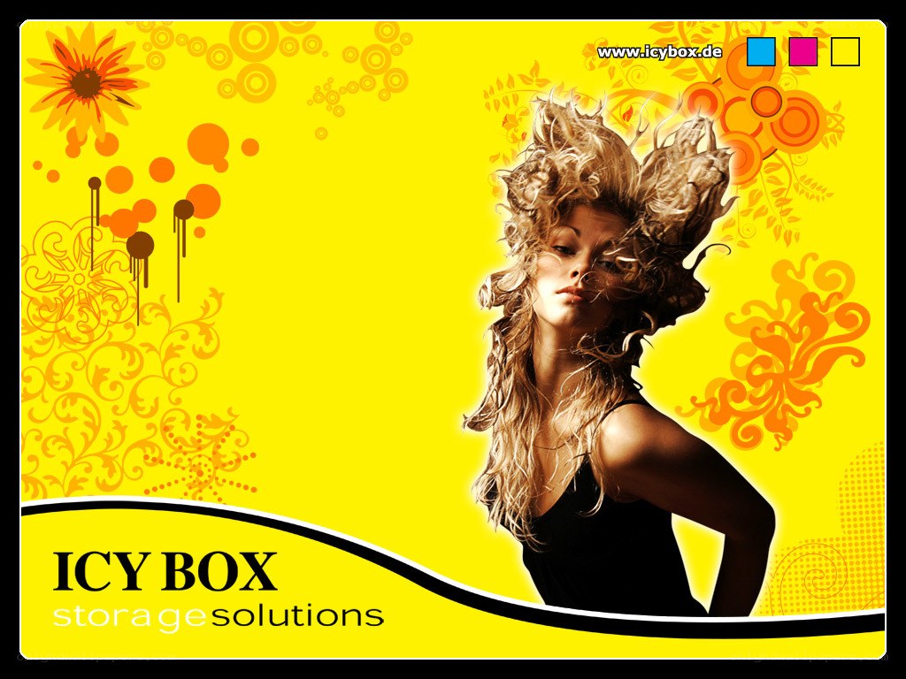 ICY BOX storage solutions ad