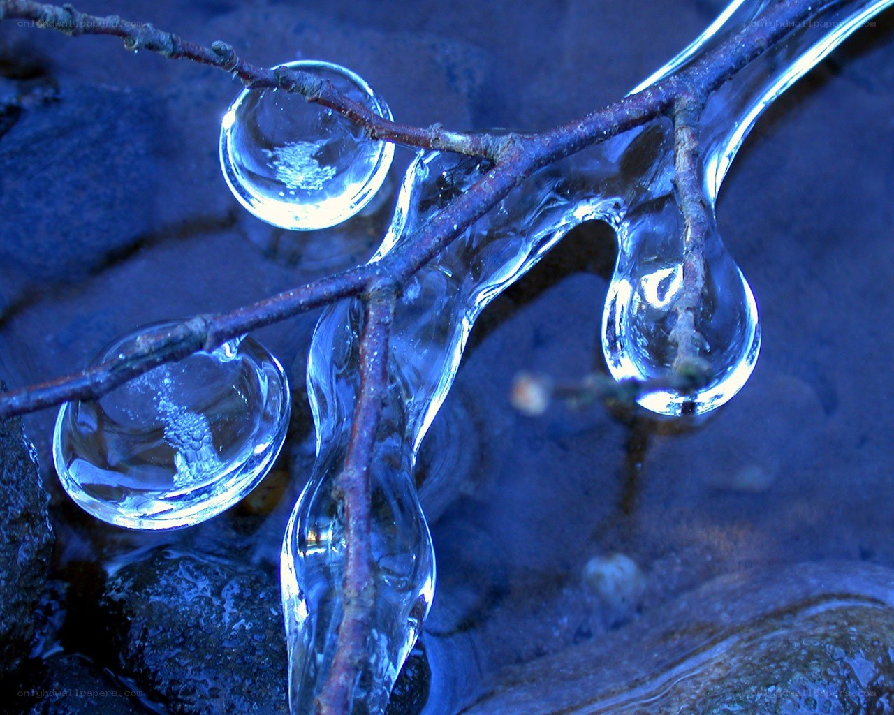 Icy branch with water droplets