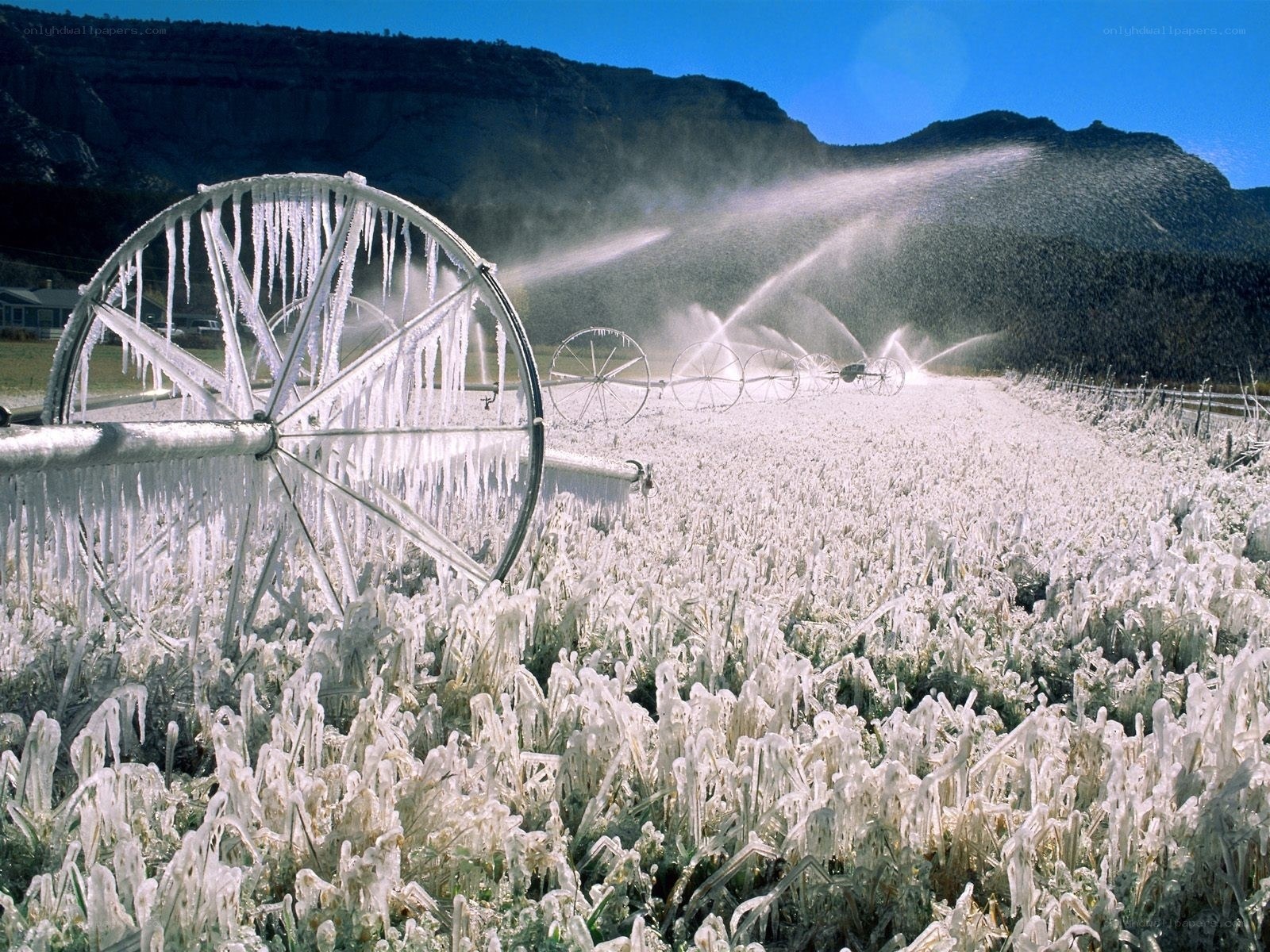 Icy irrigation in a mountain valley