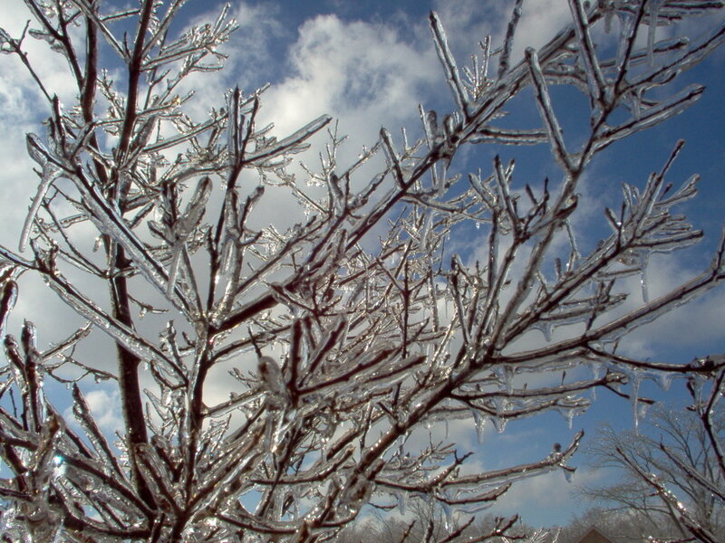 Icy tree branches against blue sky