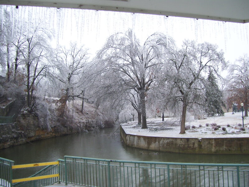 Icy trees by a river
