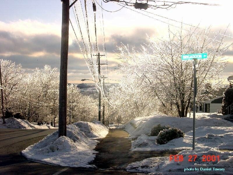 Icy winter street scene