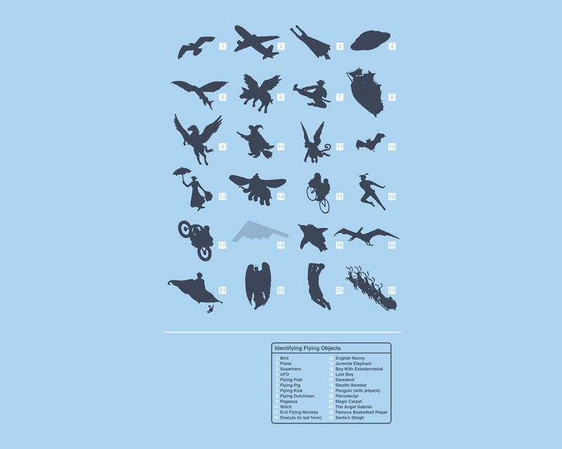 Identifying Flying Objects