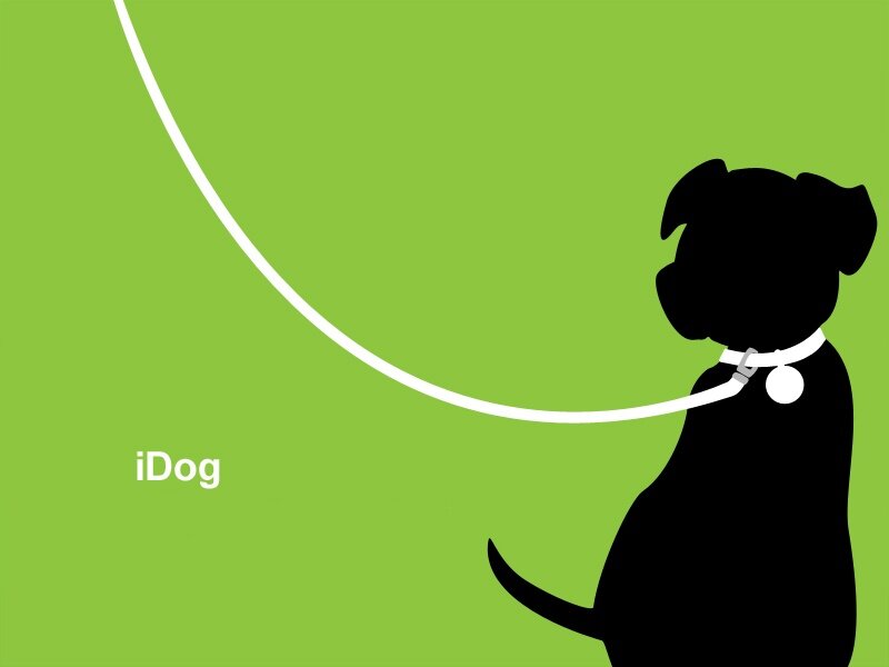iDog app logo