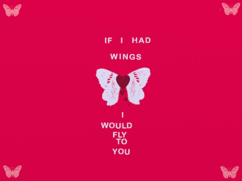 if i had wings
