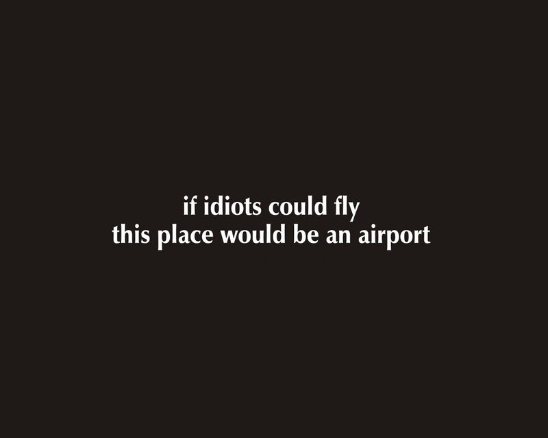 if idiots could fly