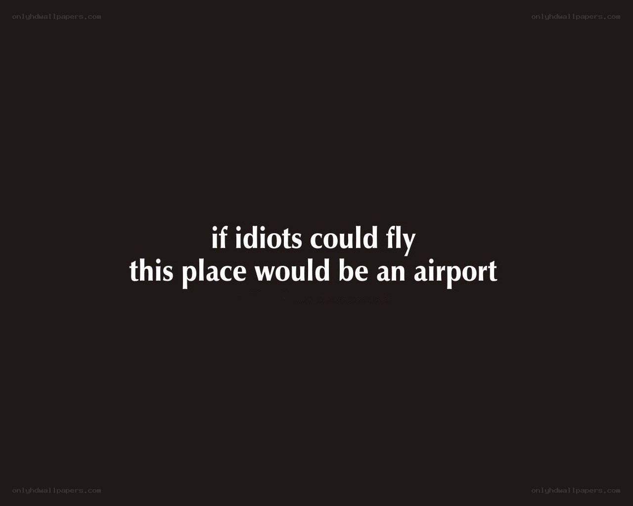 if idiots could fly