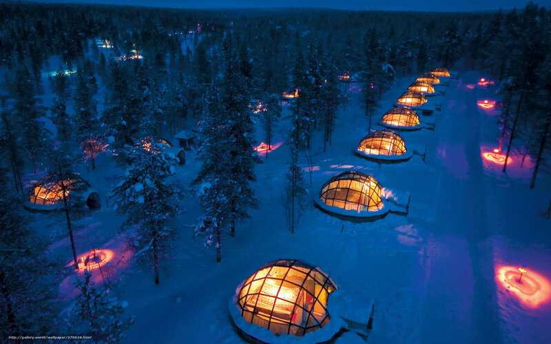 Igloo village in snowy forest