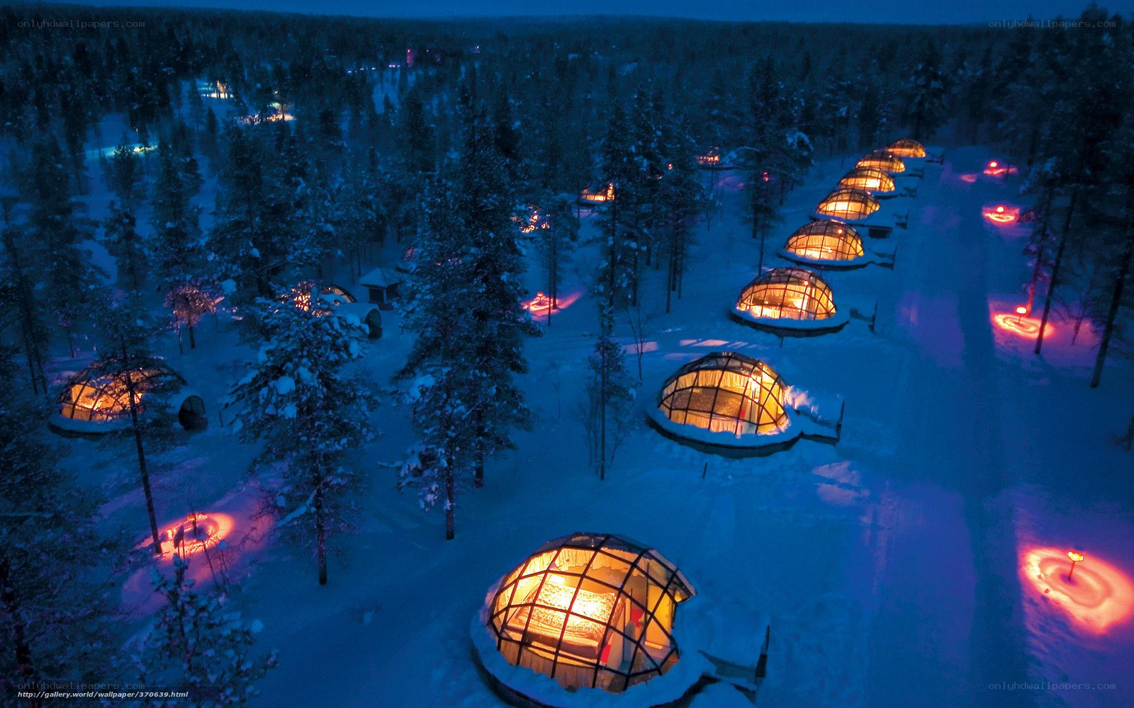 Igloo village in snowy forest