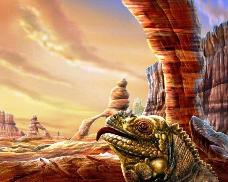 Iguana in Desert