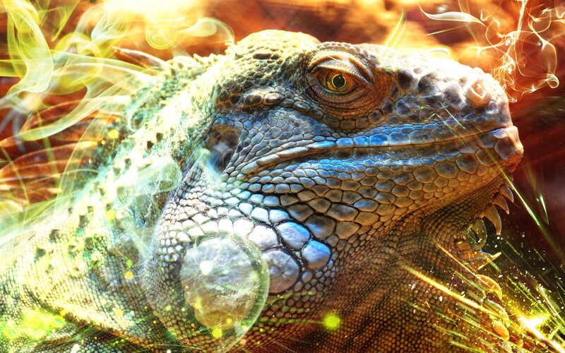 Iguana with Glowing Effects — Blue