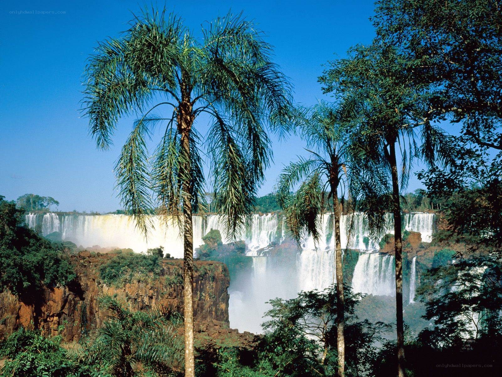 Iguazu Falls in tropical forest