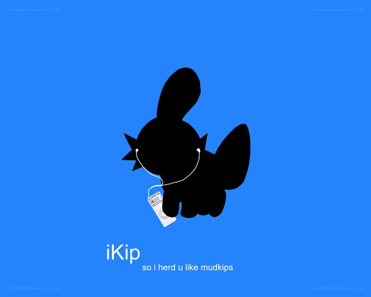 iKip music player