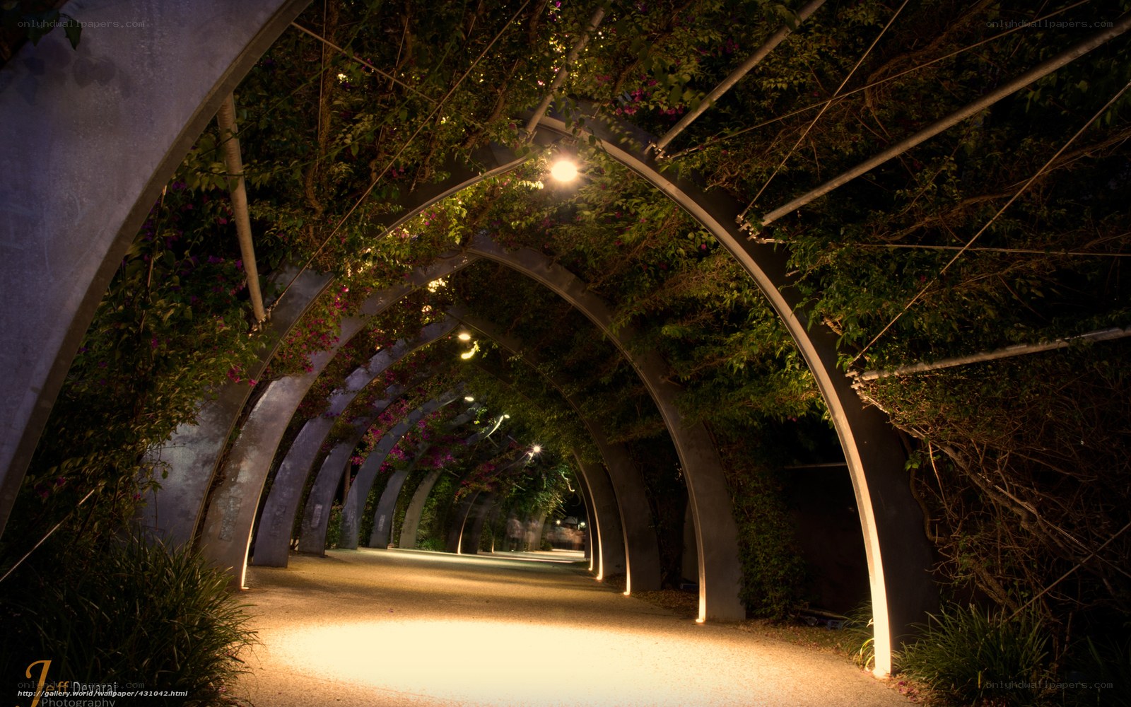 Illuminated archway tunnel
