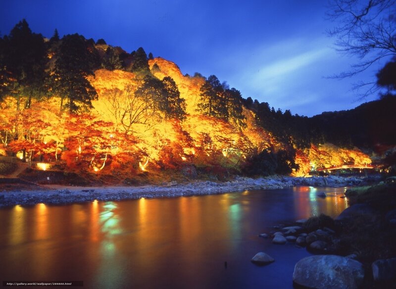 Illuminated autumn river at dusk