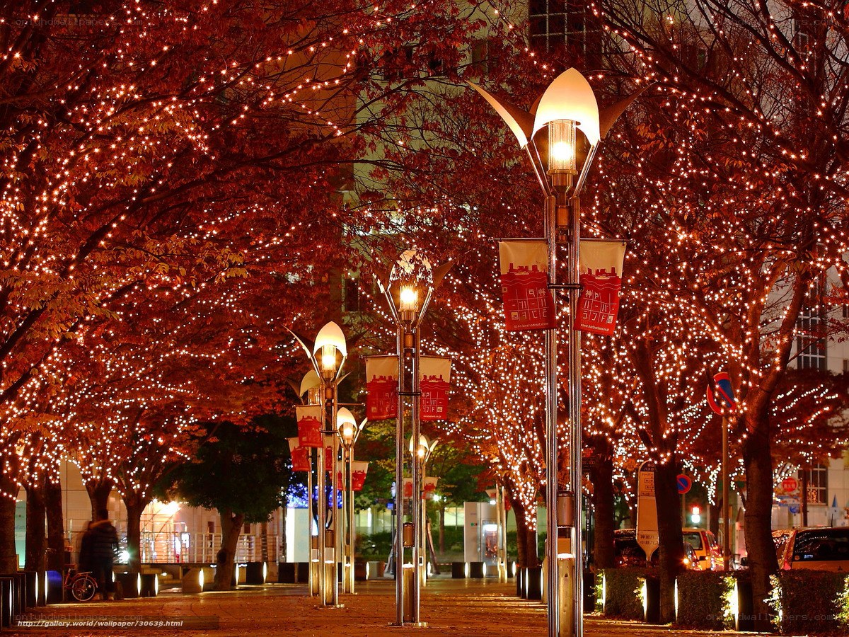 Illuminated autumn street at night
