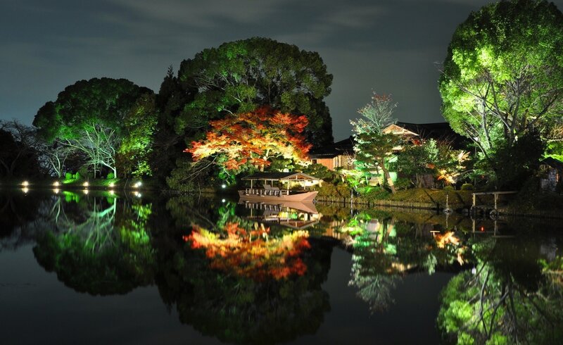Illuminated Autumn Trees