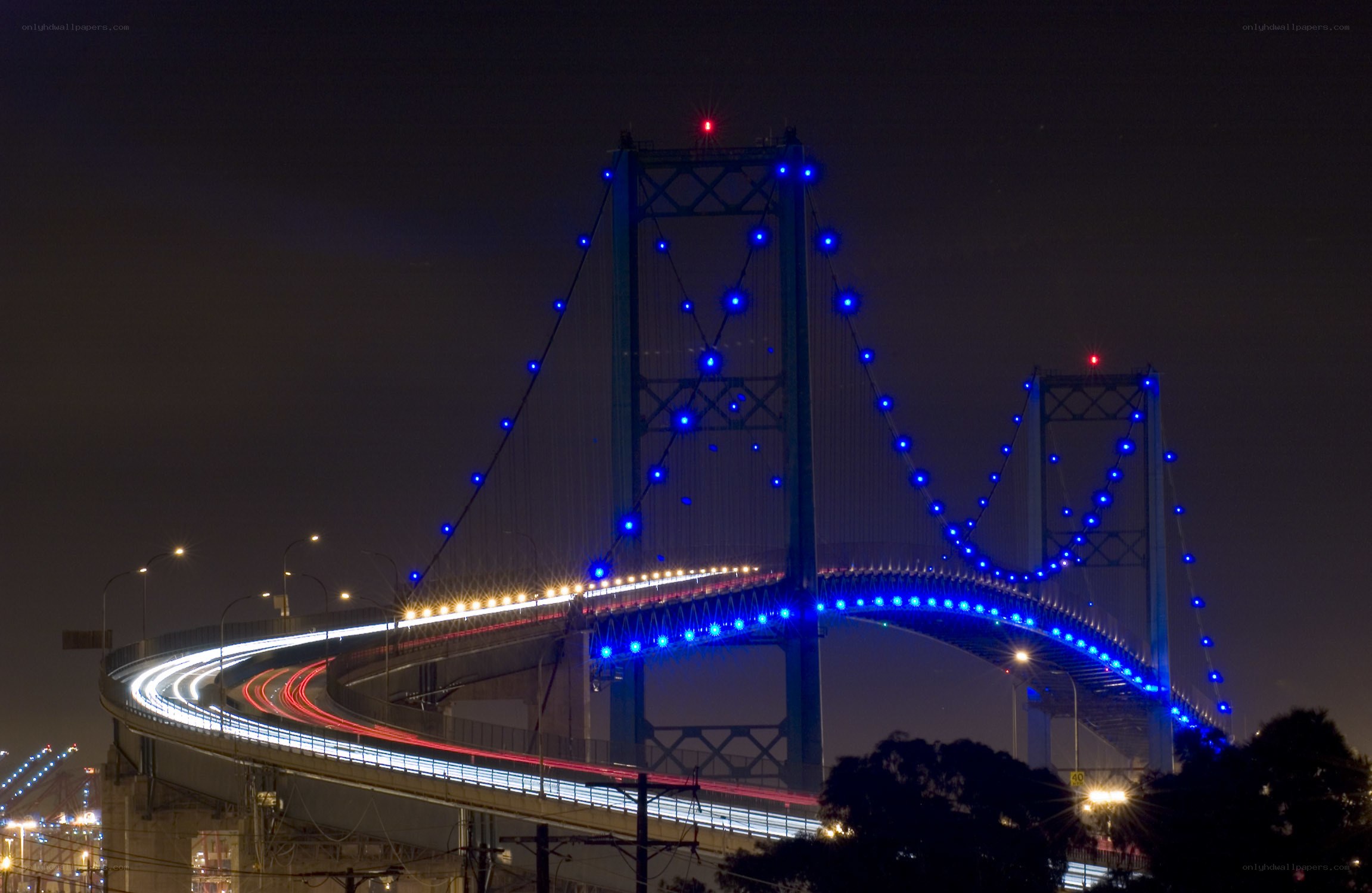 illuminated bridge at night