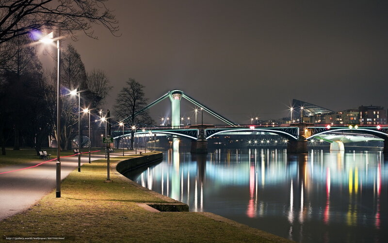Illuminated Bridge at Night — Green, Serene