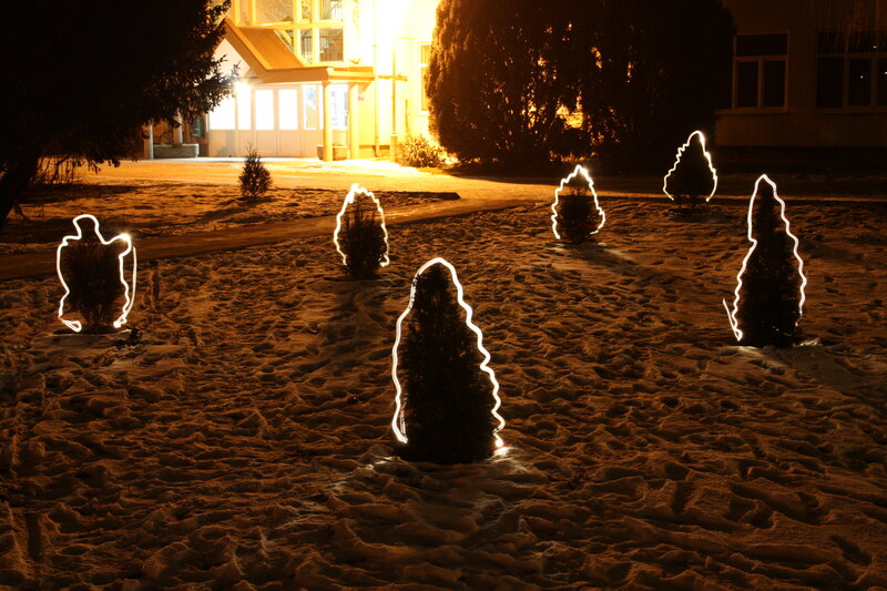 Illuminated Bushes in Snow