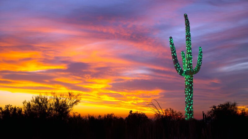 Illuminated Cactus Sculpture
