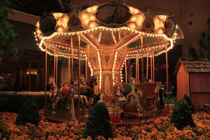Illuminated Carousel
