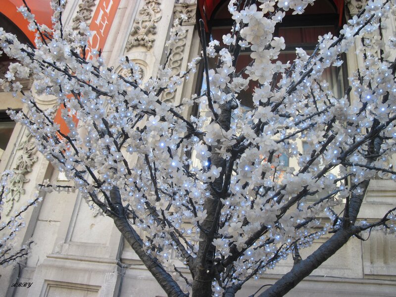 Illuminated Cherry Blossom Tree — White