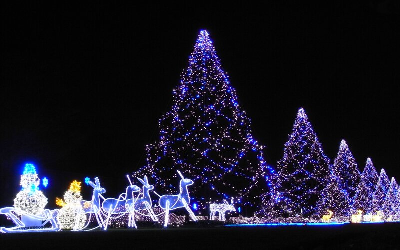 Illuminated Christmas Display — Blue, Festive