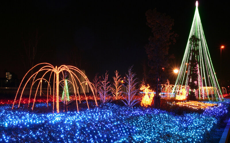 Illuminated Christmas Display — Blue