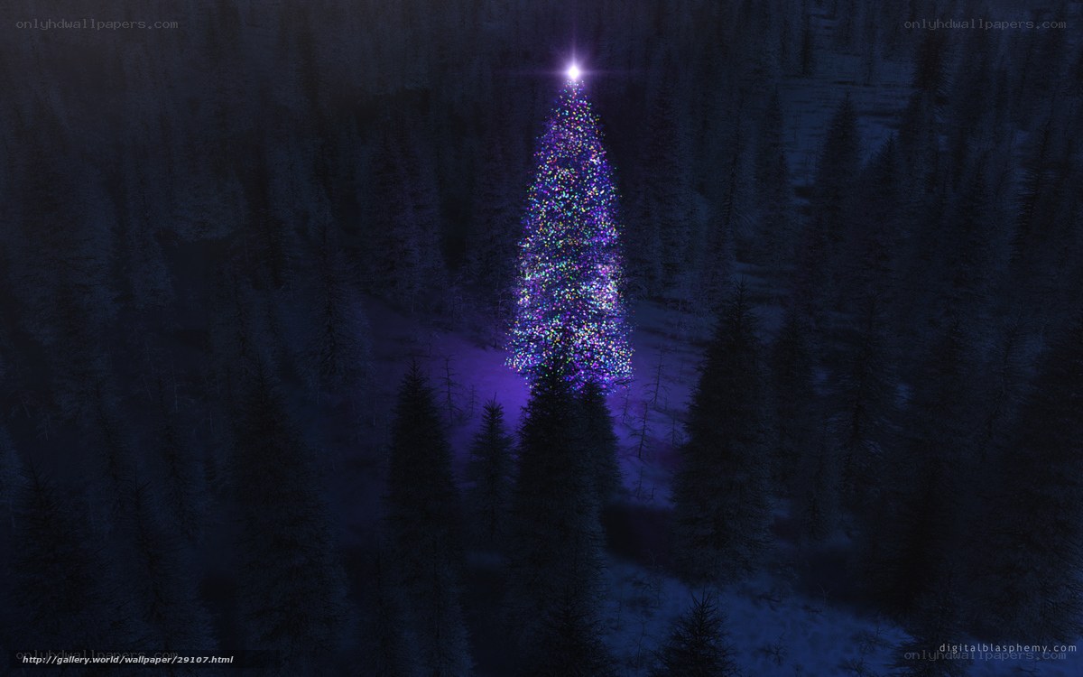illuminated christmas tree