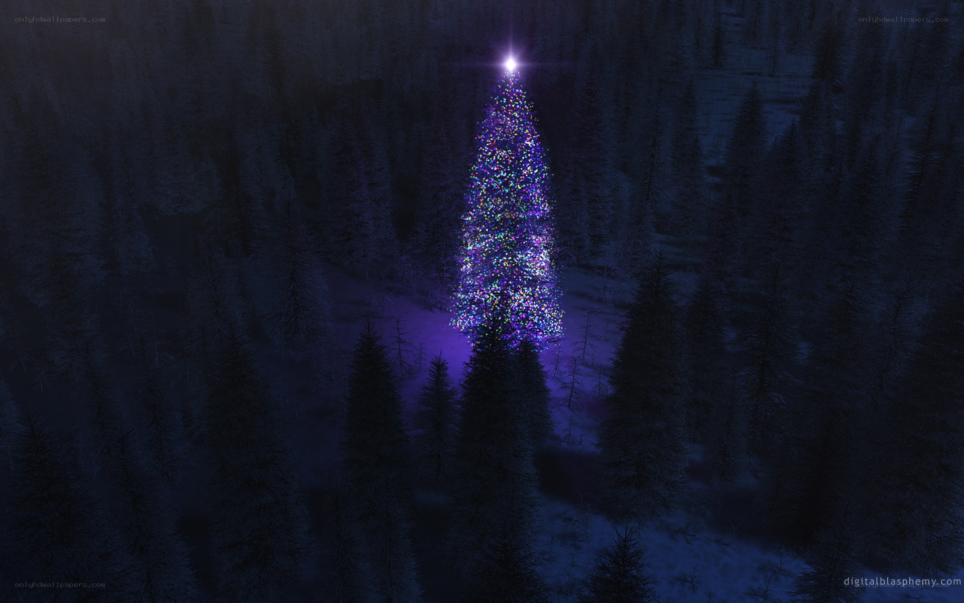 illuminated christmas tree