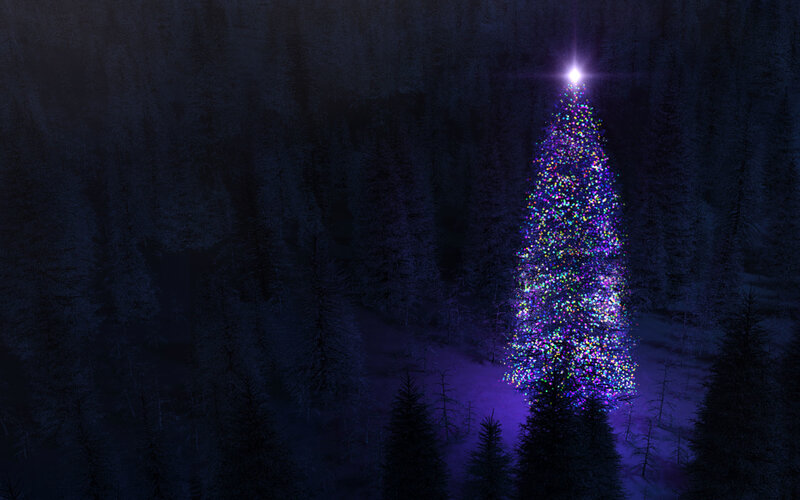illuminated christmas tree