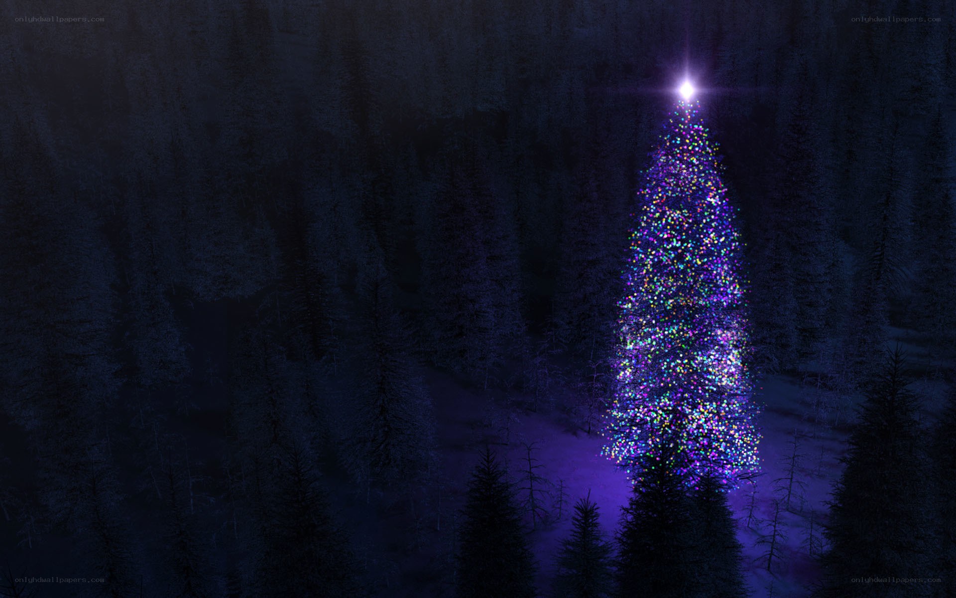 illuminated christmas tree